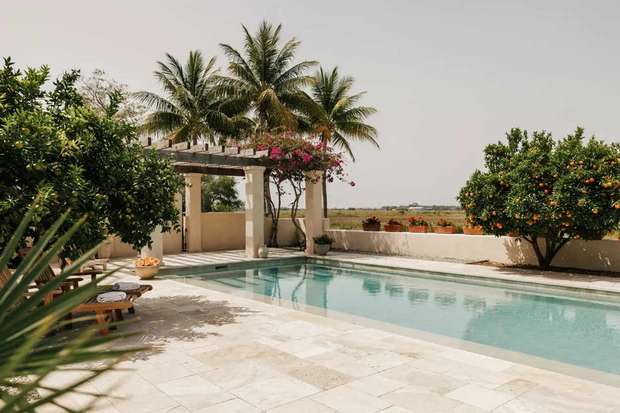 Rio Grande Valley backyard pool with palms and citrus